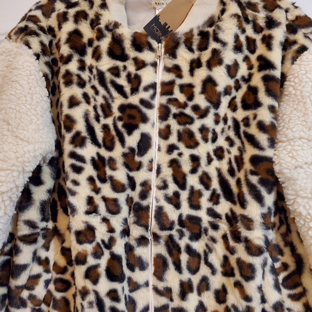 Jacket - Picture 4 of 6